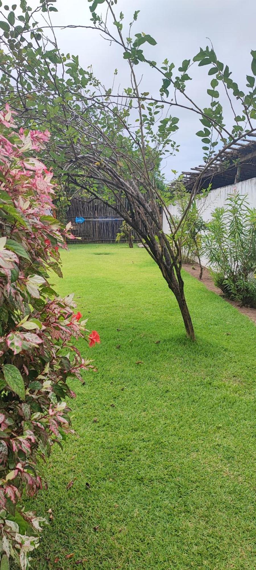 Pousada Sunshine Patacho Rota Ecologica Dos Milagres Pôrto de Pedras Extérieur photo